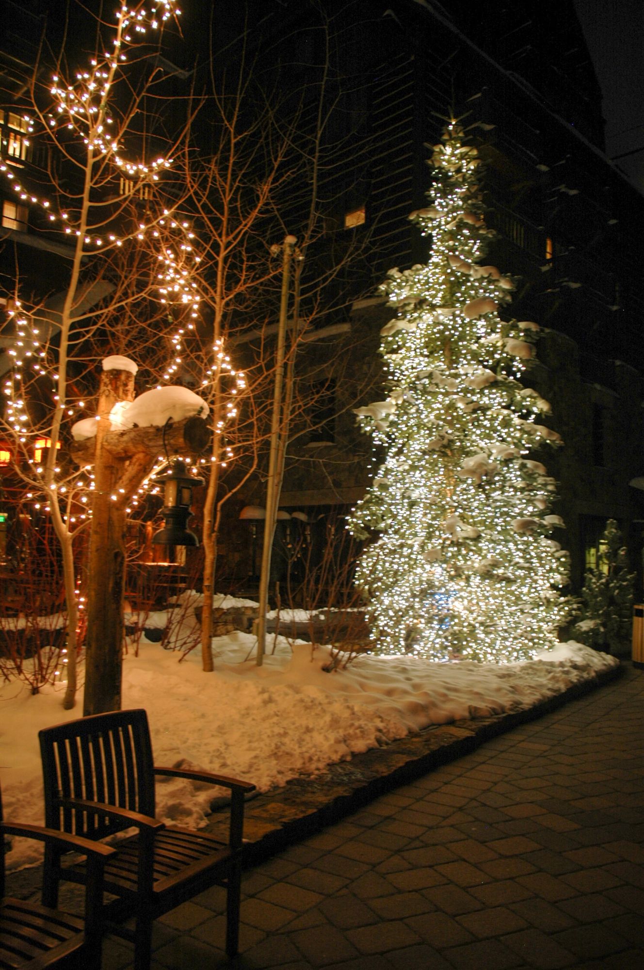 2010 Beaver Creek 52